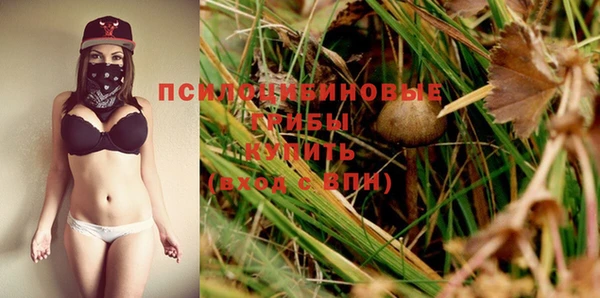 эйфоретик Балахна