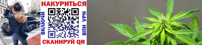 Конопля Bruce Banner  наркота  blacksprut как войти  Каргат 